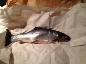 forel1